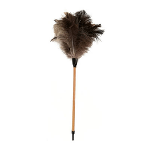 plumero ostrich comun n28