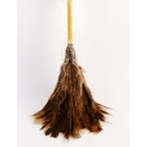 plumero ostrich comun n24